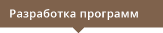 разработка программ