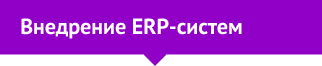 Внедрение ERP-систем